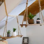 La Mia Terra アンジェーラ