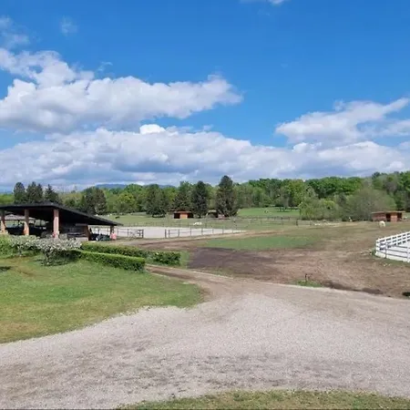 Apartment La Mia Terra *