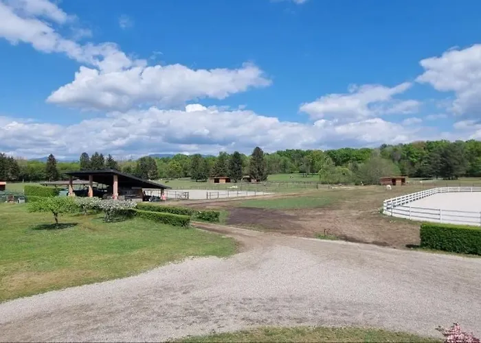 Apartment La Mia Terra *